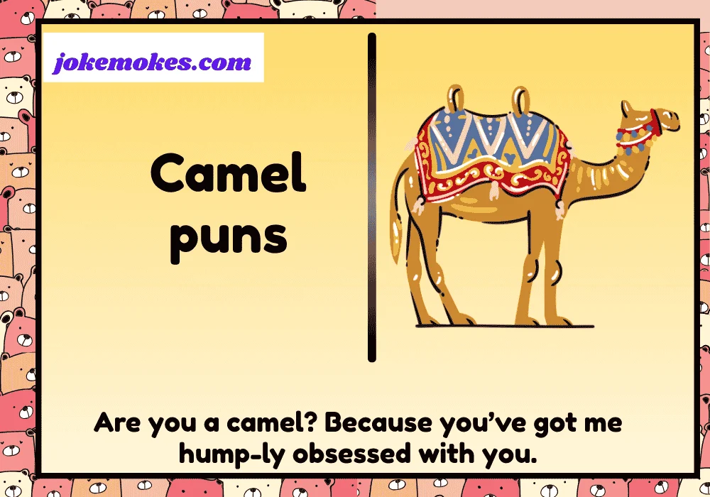 camel puns