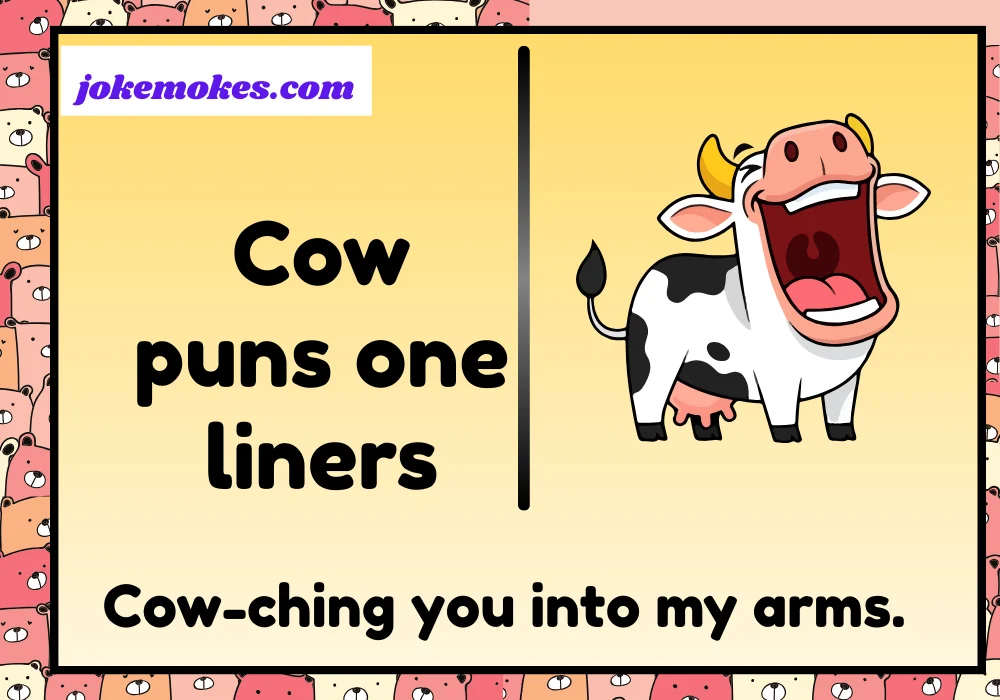 Cow puns one liners