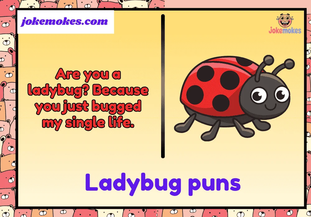 ladybug puns