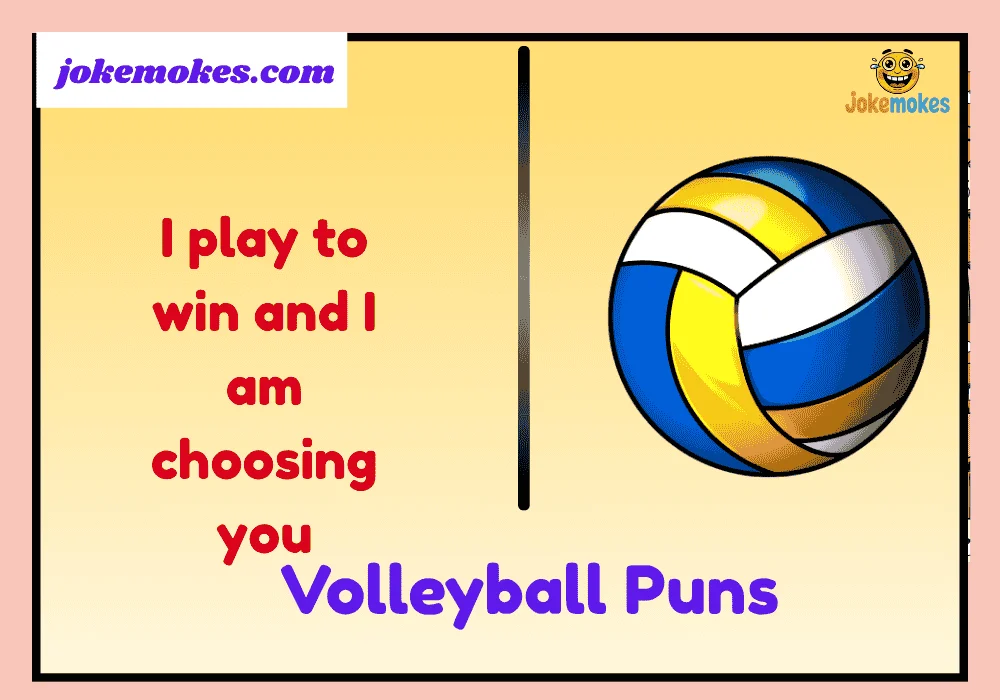 Volleyball Puns